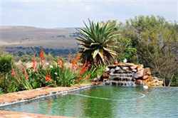 Matlapa Lodge
