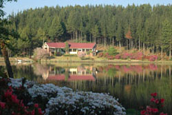 Places to stay in South Africa