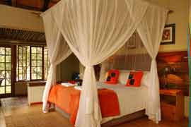 South africa hotels