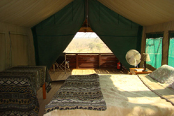 Makutsi Private Game Reserve
