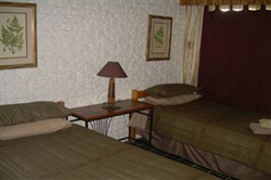 Gorgeous Gecko Guesthouse