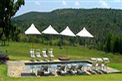 Zebras Crossing Game Lodge
