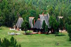 Zebras Crossing Game Lodge