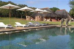 Zebras Crossing Game Lodge