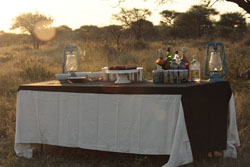 Selous Bush Camp