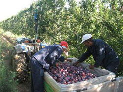 Le Domaine Farm Cottages