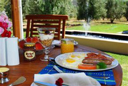 Mirihof Olive Guest Farm