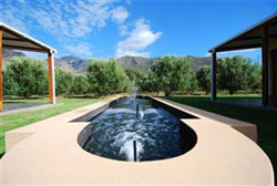 Mirihof Olive Guest Farm