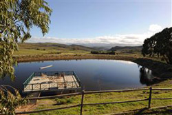 Ravenna Mountain Retreat