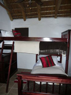 The Little Gem Montagu