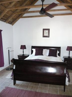 The Little Gem Montagu