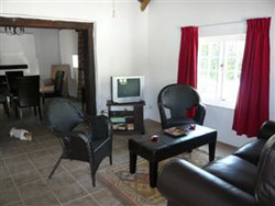 The Little Gem Montagu