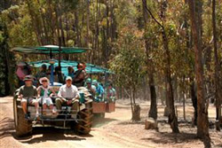 Villa Victoria Guest House