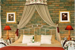 Amzee-bokmakierie Guest House