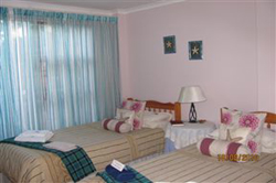 At Whale-phin Guest House