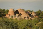 Mopane Bush Lodge