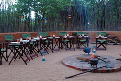 Mopane Bush Lodge
