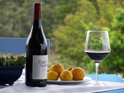 Pascal's Country Lodge