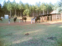 Elands Valley Lodge