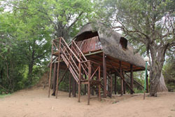 Ngulube Game Lodge Phalaborwa