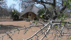 Ngulube Game Lodge Phalaborwa