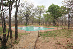 Ngulube Game Lodge