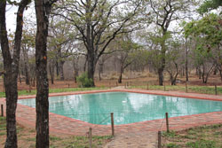 Ngulube Game Lodge Phalaborwa