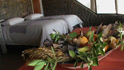Ngulube Game Lodge Phalaborwa