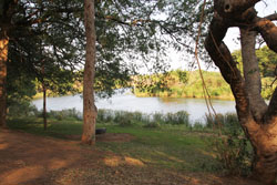 Ngulube Game Lodge