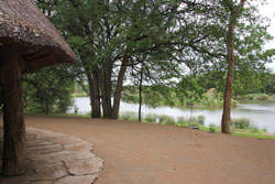 Ngulube Game Lodge Phalaborwa