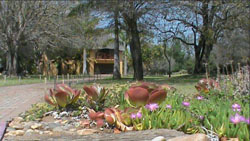 Ngulube Game Lodge
