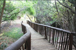 Ngulube Game Lodge Phalaborwa