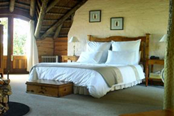 Monkey Valley Resort