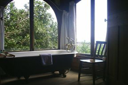 Monkey Valley Resort