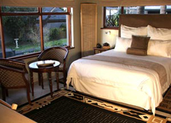 49 On Norman Guesthouse