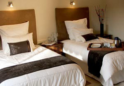 49 On Norman Guesthouse