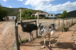 Carmens Farmgastehaus