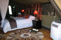 Chandelier Game Lodge