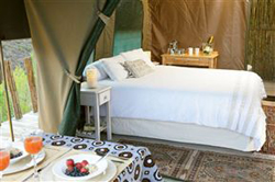 Le Petit Karoo Ranch