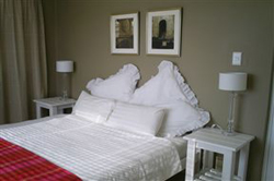 Moonflower Magic Suite