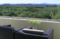 Moonflower Magic Suite