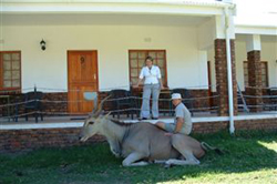 Old Mill Country Lodge