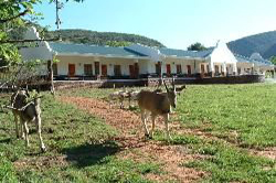 Old Mill Country Lodge