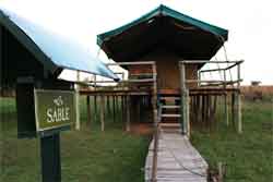 Savannah Game And River Resort