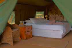 Savannah Game And River Resort