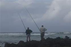 The Ark Bed And Breakfast