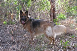 The Ark Bed And Breakfast