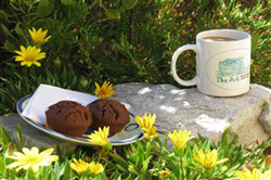 The Ark Bed And Breakfast