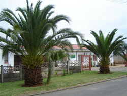 Arabian Nite Guest House