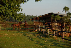 Dusk to Dawn Bed and Breakfast